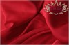 Искусственный шелк "Ванесса" красный 32477
